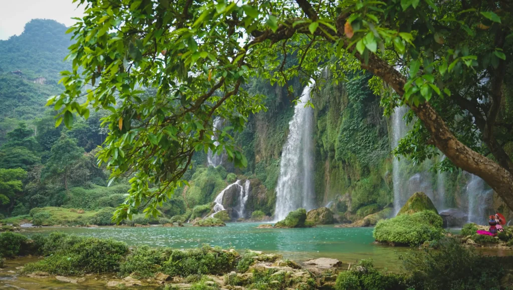 Institut Bella Donna, cascade
