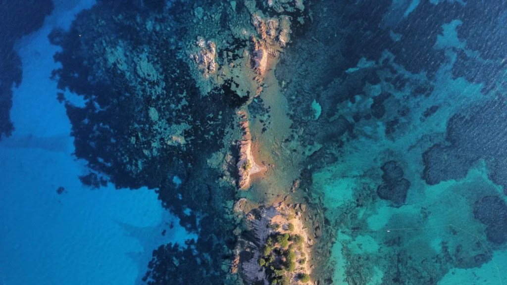 Institut Bella Donna, mer