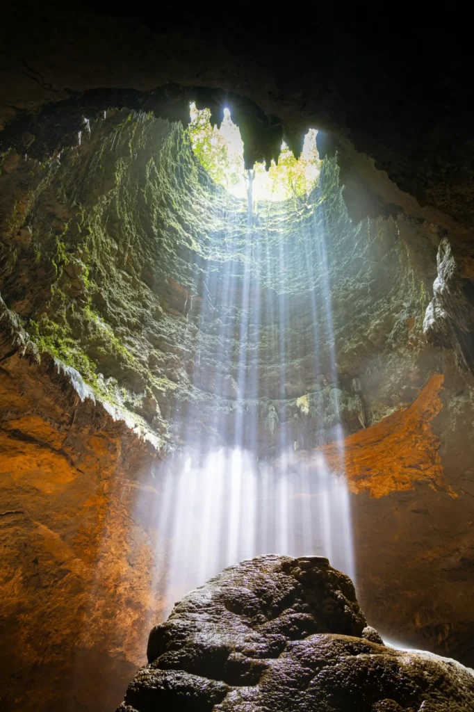 Institut Bella Donna, grotte